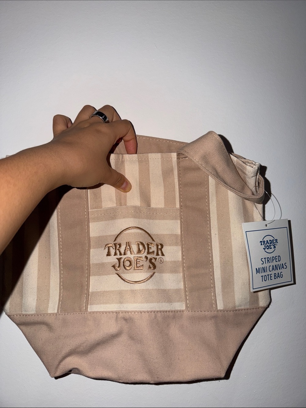 Beige Striped Mini Canvas Tote Bag